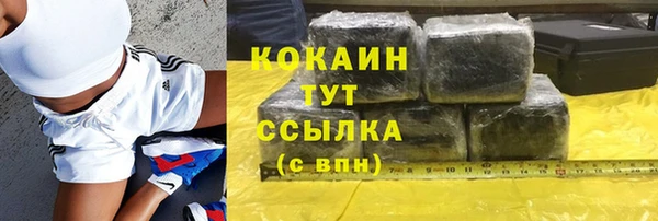 шишки Богородск