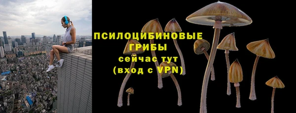 кокаин колумбия Богданович