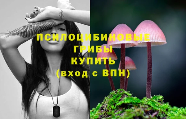 2c-b Богородицк