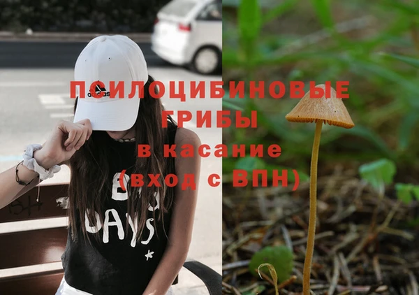 spice Бородино