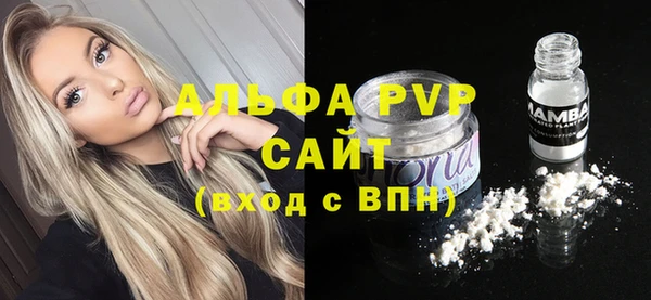 шишки Богородск